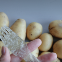 Potato Plastic: the new alternative to disposable plastic