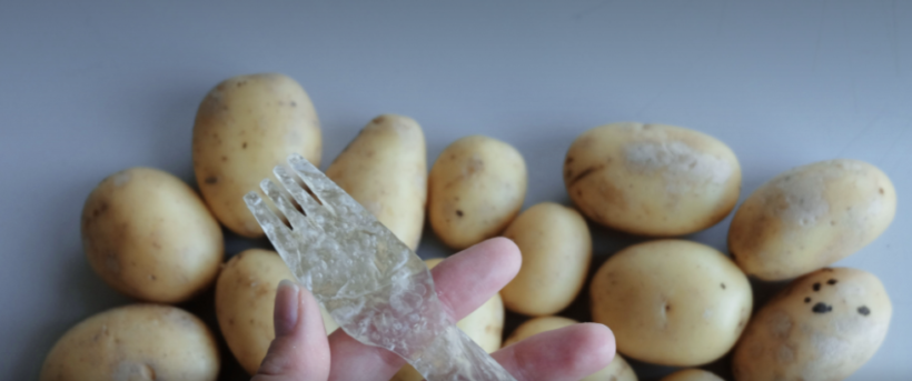 Potato Plastic: the new alternative to disposable plastic