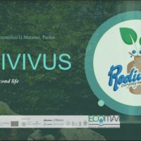Ecomavi supports redivivus start up