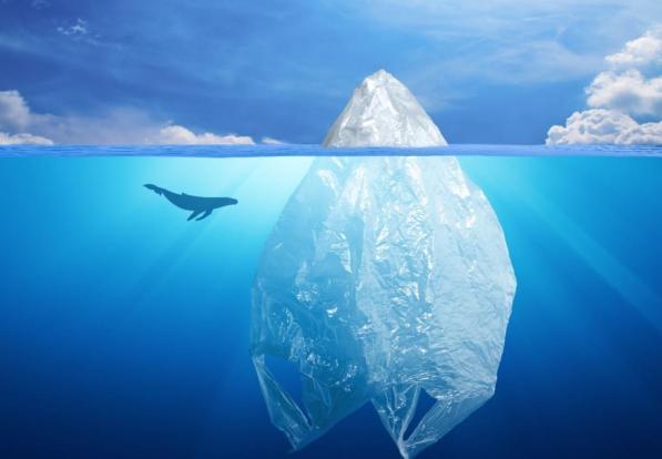 Plastica d’A-Mare, Ecofestival plastic free a Roma Plastica d’A-Mare, Ecofestival plastic free a Roma