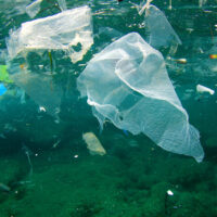 Nel 2040 600 tonnellate di plastica nei mari