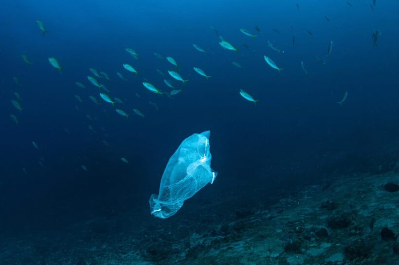 An Australian research sounds the alarm: 14 million of tonns of plastic under the ocean